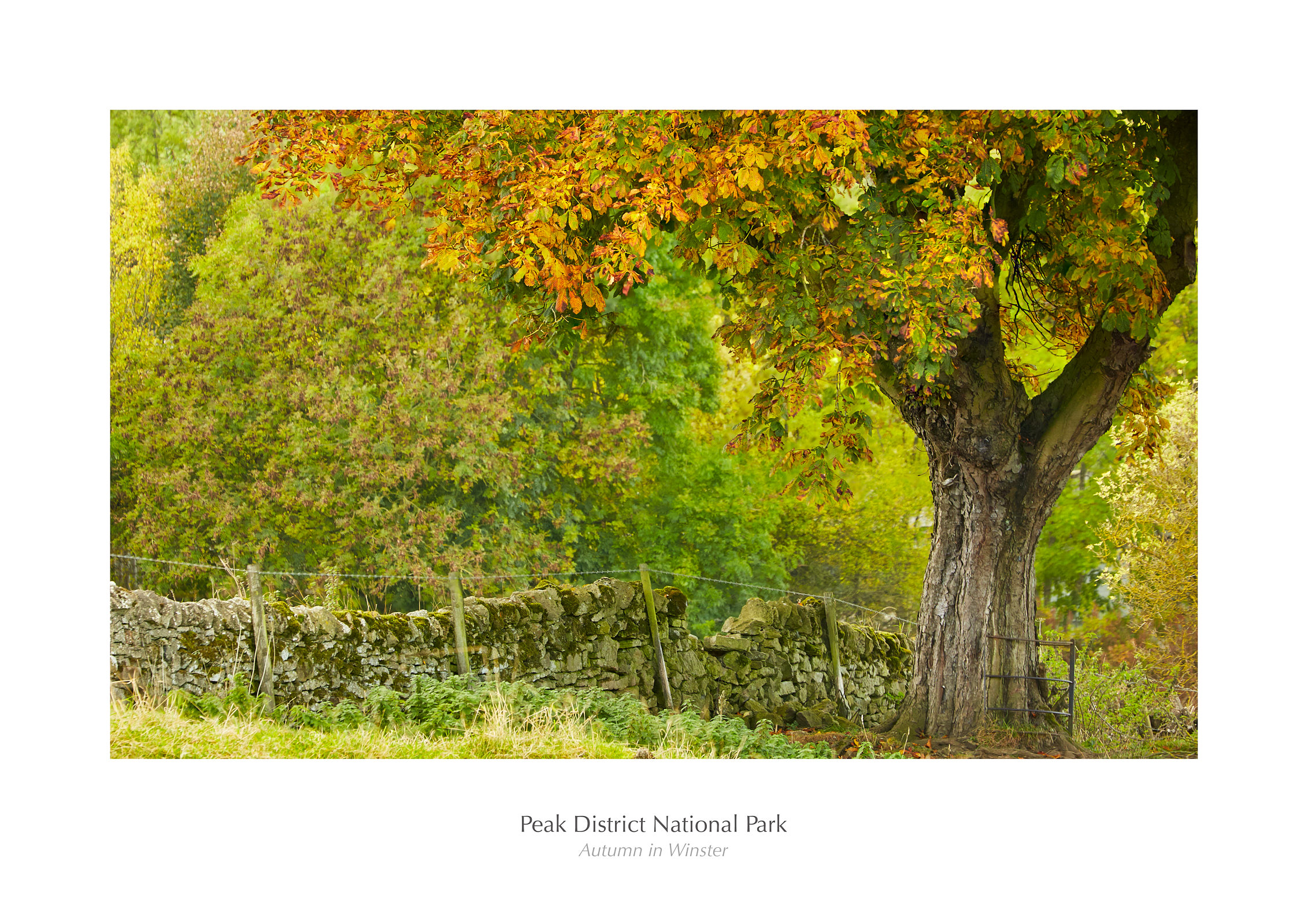 Autumn in Winster