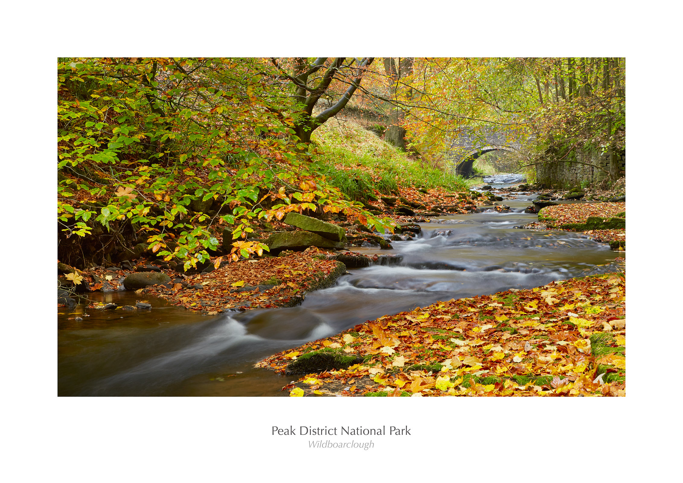 Wildboarclough