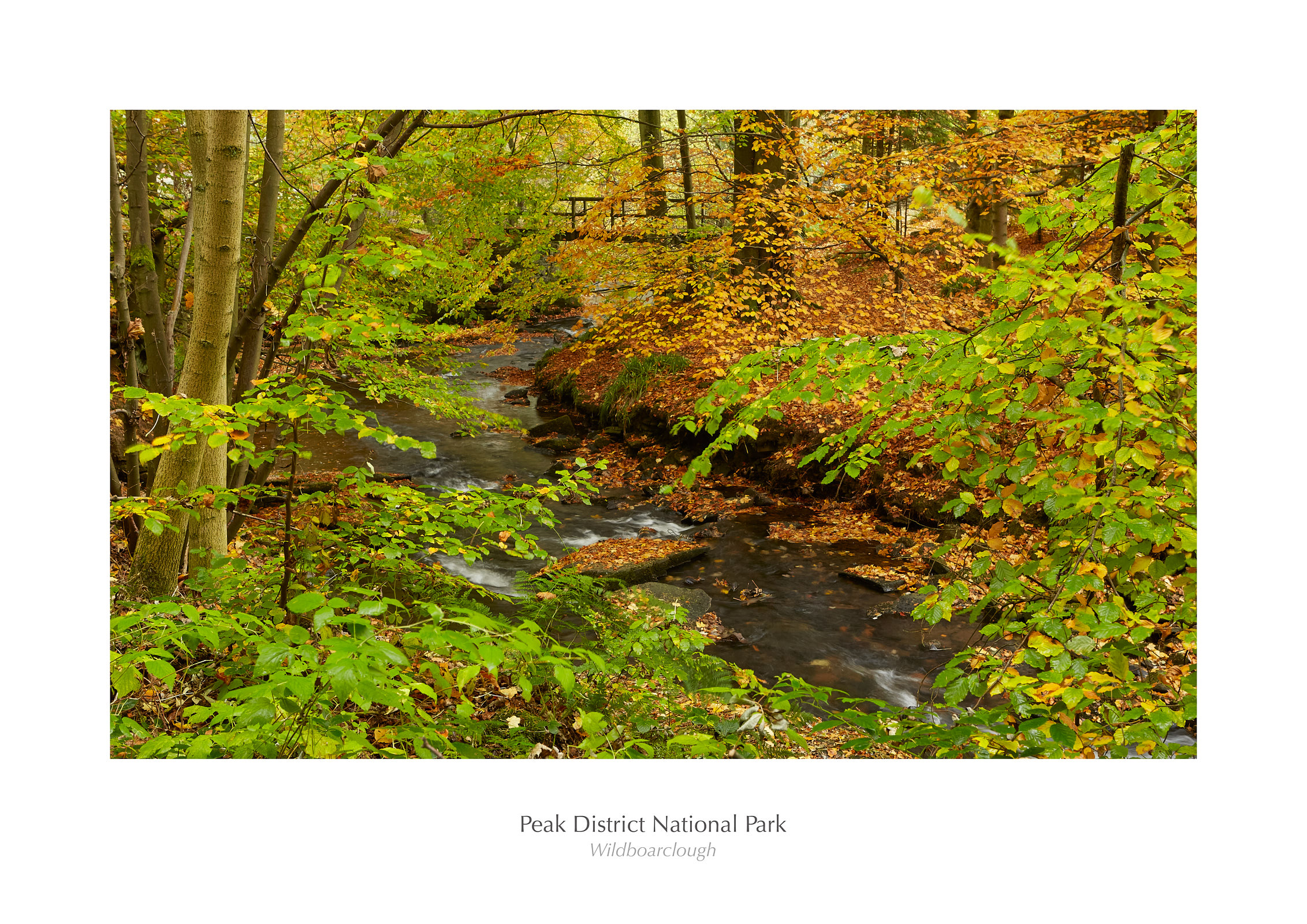 Wildboarclough