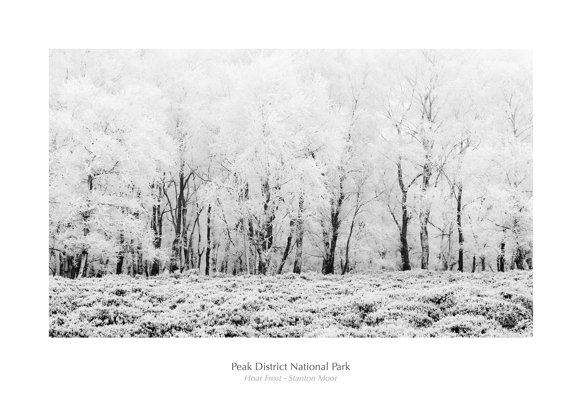 Hoar Frost - Stanton Moor