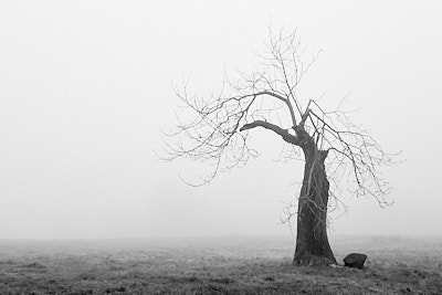 The Peak District in Black & White