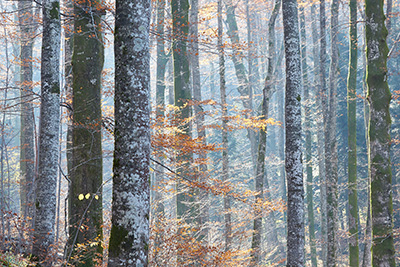 Plitvice Lakes National Park